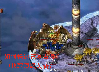 ��ο����ڸ��Ŵ����л�ȡ����װ����