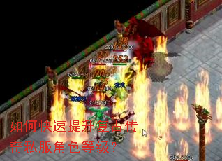 ��ο����������Ŵ���˽����ɫ�ȼ���