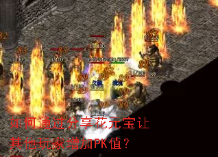 ���ͨ��������Ԫ���������������PKֵ��