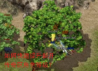 ��ο��������¿���������ɫ�ȼ���