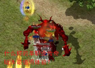 ʲô���ĵ�ְҵ����汾��ֵ�����飿