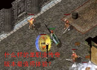 ʲô���ĵ�ְҵ����汾��ֵ�����飿