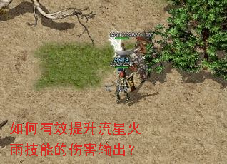 �����Ч�������ǻ��꼼�ܵ��˺������