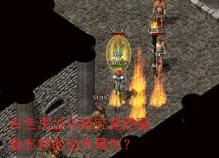 ��ɫ�������������������������������ԣ�