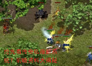 ���ȿ�����˽����ϵͳ��ǰհ���ϴ����