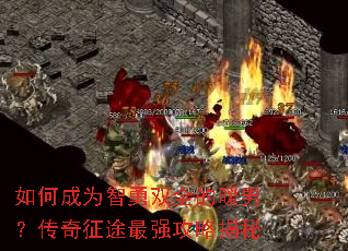 ��γ�Ϊ����˫ȫ��ů�У�������;��ǿ���Խ���