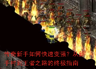 ����������ο��ٱ�ǿ�������ִ嵽����֮·���ռ�ָ��