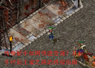 ����������ο��ٱ�ǿ�������ִ嵽����֮·���ռ�ָ��