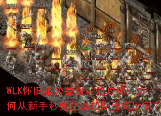 WLK���ɷ��������ǿ���ԣ���δ�������䰬����˹������ң�
