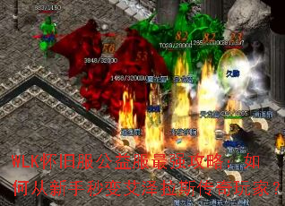 WLK���ɷ��������ǿ���ԣ���δ�������䰬����˹������ң�