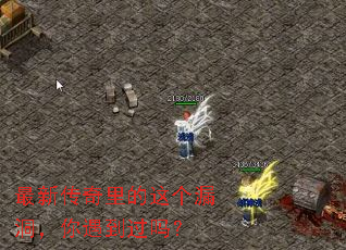 ���´���������©��������������