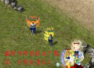 ���´���������©��������������