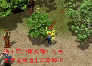 ��ʿְҵ�ļ�ǿ������������ǿ��ʿ���Խ���