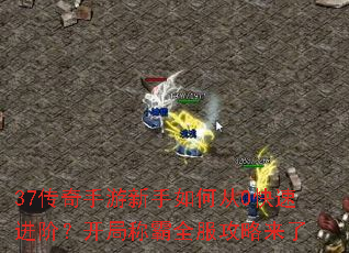 37��������������δ�0���ٽ��ף����ֳư�ȫ����������