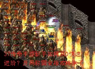 37��������������δ�0���ٽ��ף����ֳư�ȫ����������