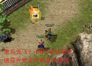 �����ȷɣ�СR�����ο���������ʥ����ս�����ԣ�