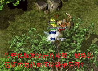 ����˽���������׹��ԣ�ȼ�յ�Զ���е���Ѫ��;���Ѿ��ͣ�