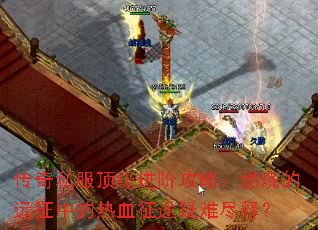 ����˽���������׹��ԣ�ȼ�յ�Զ���е���Ѫ��;���Ѿ��ͣ�