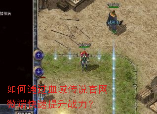 ���ͨ��Ѫ��˵����΢�˿�������ս����