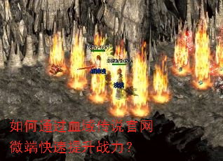 ���ͨ��Ѫ��˵����΢�˿�������ս����