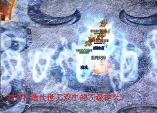 ��δ��촫����˫�еĶ�����װ��