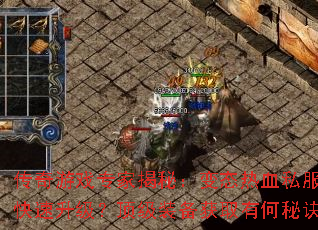 ������Ϸר�ҽ��أ���̬��Ѫ˽����ο�������������װ����ȡ�к��ؾ���