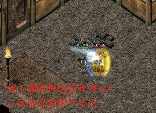 ������ο��������ȼ���װ��ѡ������Щ���ɣ�