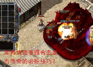 ��ο������պϻ����Ŵ���ı�ʤ���ɣ�