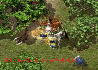 ��ʿVS�촬��˭�������ռ��Ծ���