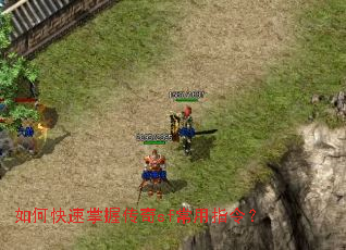 ��ο������մ���sf����ָ�