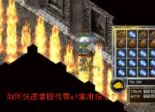 ��ο������մ���sf����ָ�