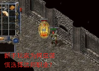 �������Ϊ��Ӧ����ѡ��ʦְҵ��