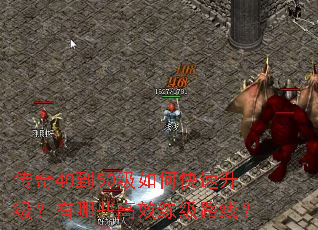 ����40��50����ο�������������Щ��Ч����·�ߣ�