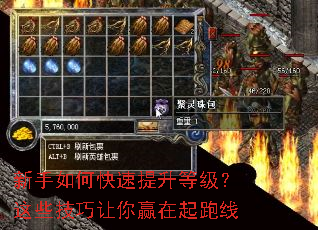 ������ο��������ȼ�����Щ��������Ӯ��������