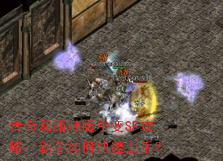 ����˽�������б�SF���ԣ�������ο������֣�