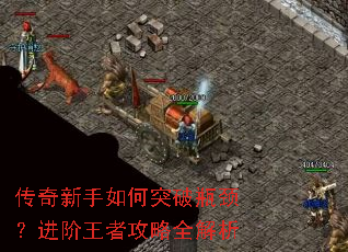 �����������ͻ��ƿ�����������߹���ȫ����