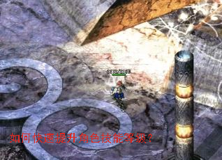 ��ο���������ɫ���ܵȼ���