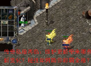 ����˽�����٣�ά�����´�����Щ�±仯���ؼ��������ư�ȫ����