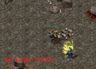 ��ο�������Ԫ��ȼ���