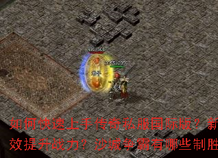 ��ο������ִ���˽�����ʰ棿����������Ч����ս����ɳ����������Щ��ʤ�ؾ���