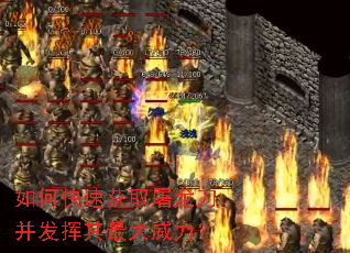 ��ο��ٻ�ȡ�����������������������