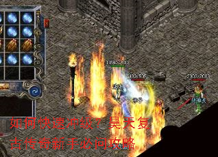 ��ο��ٳ弶����츴�Ŵ������ֱ��ʹ���