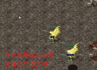 ����˽��������ο��ٽ��׳ɴ���