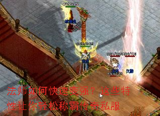 ��ʦ��ο��ٱ�ǿ����Щ�����������ɳưԴ���˽��