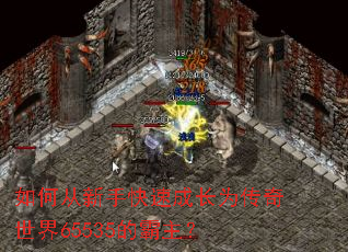 ��δ����ֿ��ٳɳ�Ϊ��������65535�İ�����