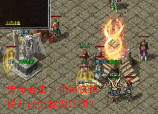 ����ϻ�����ο�������ս���ưԽ�����