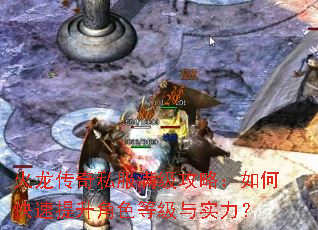 ��������˽���������ԣ���ο���������ɫ�ȼ���ʵ����