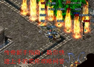 ��������ָ�ϣ�����������ֵ�ʵ�ù����ʴ�