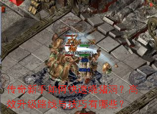 ����������ο�������������Ч����·���뼼������Щ��