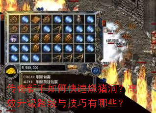 ����������ο�������������Ч����·���뼼������Щ��